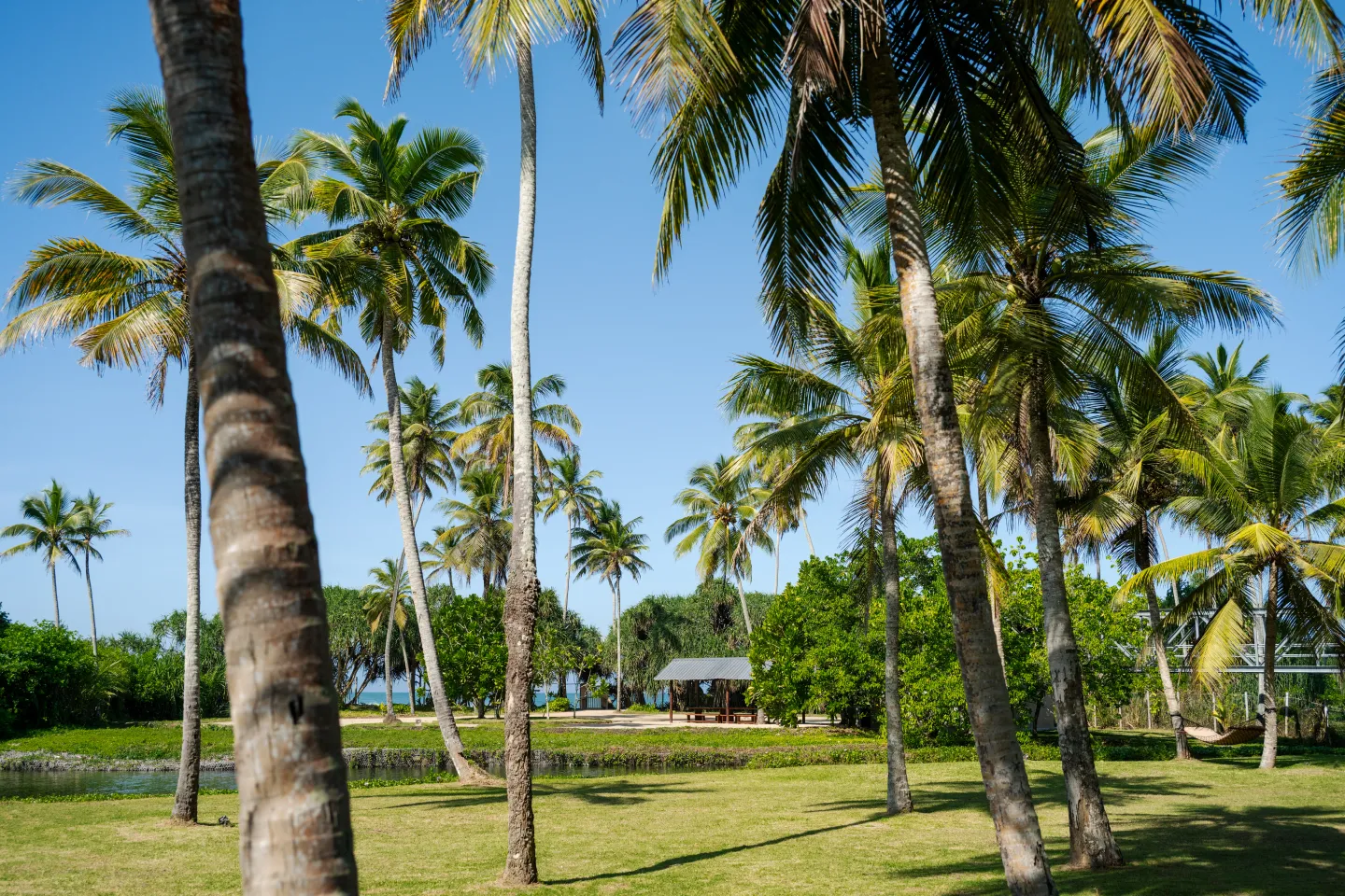 DSC_0486